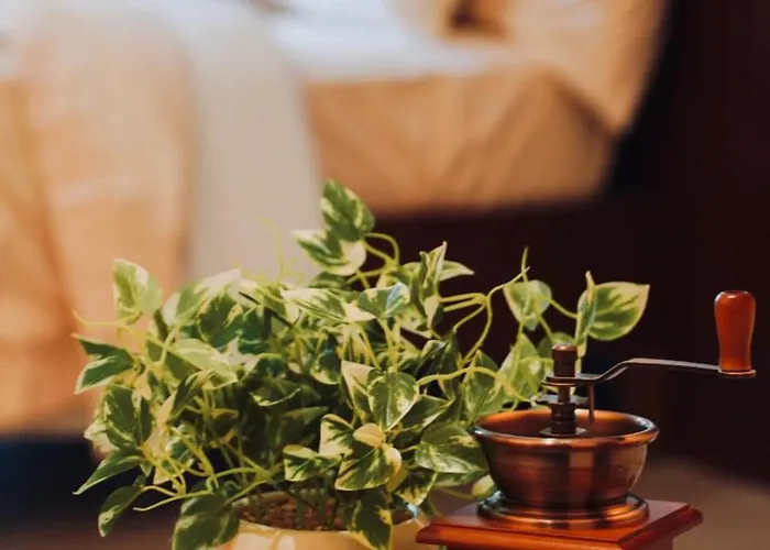 Bohemian Bliss Apartamento *